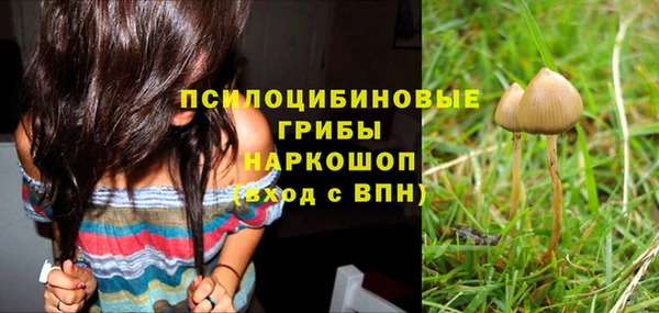 синтетический гашиш Гусь-Хрустальный