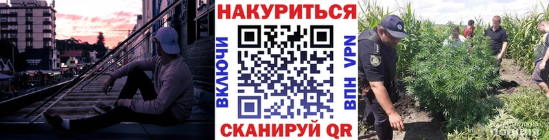 mega ТОР  Далматово  Канабис гибрид 